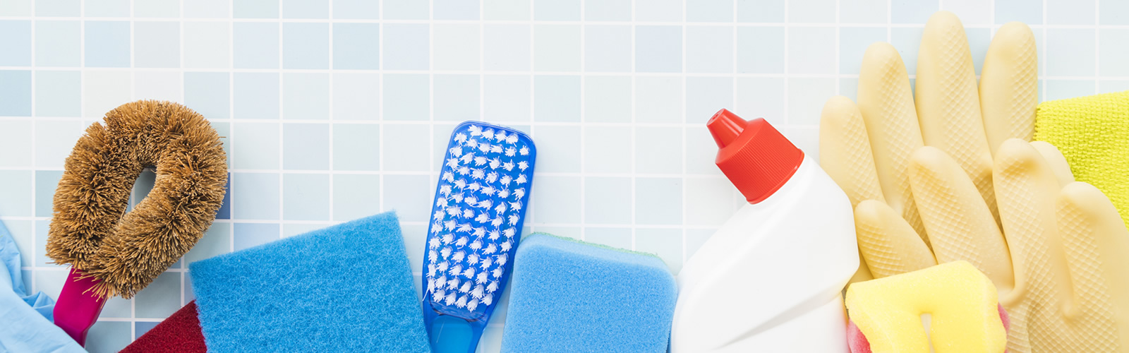PETS EM CASA | Dicas para manter a limpeza da sua casa